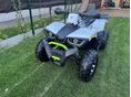 TAO HUNTER 2024 - 12