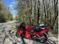 HONDA CBR 1100 XX 2003/6 - 2