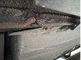 HONDA CIVIC 2008/3 - 12