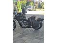HONDA VT 600 C 2009/12 - 5
