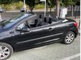 PEUGEOT 207 2008/8 - 9