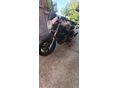 SUZUKI SV 1000 N 
