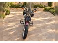 HARLEY-DAVIDSON SPORTSTER 883 LOW 2007 - 4