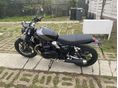TRIUMPH SPEED TWIN 2025-ös verzió