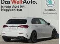 MERCEDES-BENZ A 220 2019/11 - 2