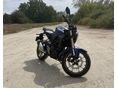 HONDA CB 300 R ABS 2023/11 - 2