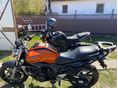 YAMAHA FZ6-N 2006/3 - 6