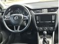 SKODA OCTAVIA 2017/1 - 12