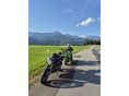 HONDA CB 600 F (HORNET) 2003/6 - 3