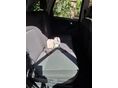 OPEL MERIVA A 2008/10 - 5
