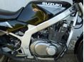 SUZUKI GS 500 E 1999/8 - 5