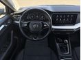 SKODA OCTAVIA 2021/9 - 9