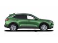 FORD KUGA 2026 - 2