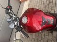 HONDA CB 900 F (HORNET) 2006/3 - 7