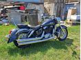 HONDA VT 1100 C3 SHADOW AERO 2002 - 3