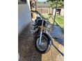 HONDA VT 1100 C3 SHADOW AERO 2002 - 4