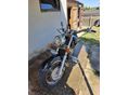 HONDA VT 1100 C3 SHADOW AERO 2002 - 6