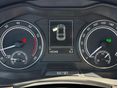 SKODA SCALA 2019/11 - 12