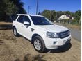 LAND ROVER FREELANDER 2 2.2 SD4 SE (Automata) Navi. 4x4