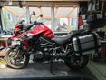 TRIUMPH TIGER 1200 