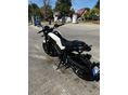 BENELLI LEONCINO 125 2025 - 3