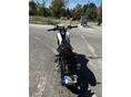 BENELLI LEONCINO 125 2025 - 4