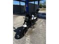 BENELLI LEONCINO 125 2025 - 8