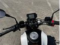 BENELLI LEONCINO 125 2025 - 10