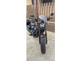 HONDA CMX 1100 2022/7 - 6