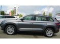 SKODA KODIAQ 2024/2 - 7