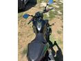 KAWASAKI Z 500 2024 - 3