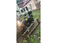 SUZUKI DL 650 2017/5 - 3
