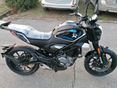 CFMOTO 300 CL-X 2023/11 - 4