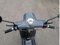 LINEA VINTAGE 2026 - 7