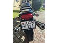 HONDA CB 1000 SF 2001/5 - 5