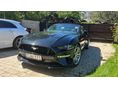 FORD MUSTANG 2019/7 - 11