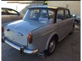 FIAT 1100 1964/4 - 2