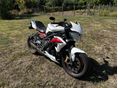 TRIUMPH STREET TRIPLE 675 R 