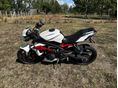 TRIUMPH STREET TRIPLE 675 R 2014/3 - 2