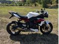 TRIUMPH STREET TRIPLE 675 R 2014/3 - 3