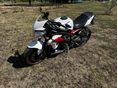 TRIUMPH STREET TRIPLE 675 R 2014/3 - 5