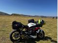 TRIUMPH STREET TRIPLE 675 R 2014/3 - 6