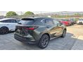 LEXUS NX 2026 - 5