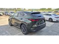 LEXUS NX 2026 - 7