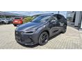 LEXUS NX 350h Executive Top AWD CVT