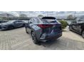 LEXUS NX 2026 - 7