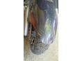 YAMAHA MAJESTY 1998/4 - 3