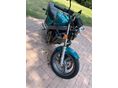 HONDA NTV 650 1994/1 - 5
