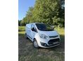 FORD TRANSIT Custom 2.0 TDCi 290 L1H1 Trend
