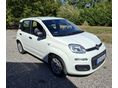 FIAT PANDA 2020/9 - 1